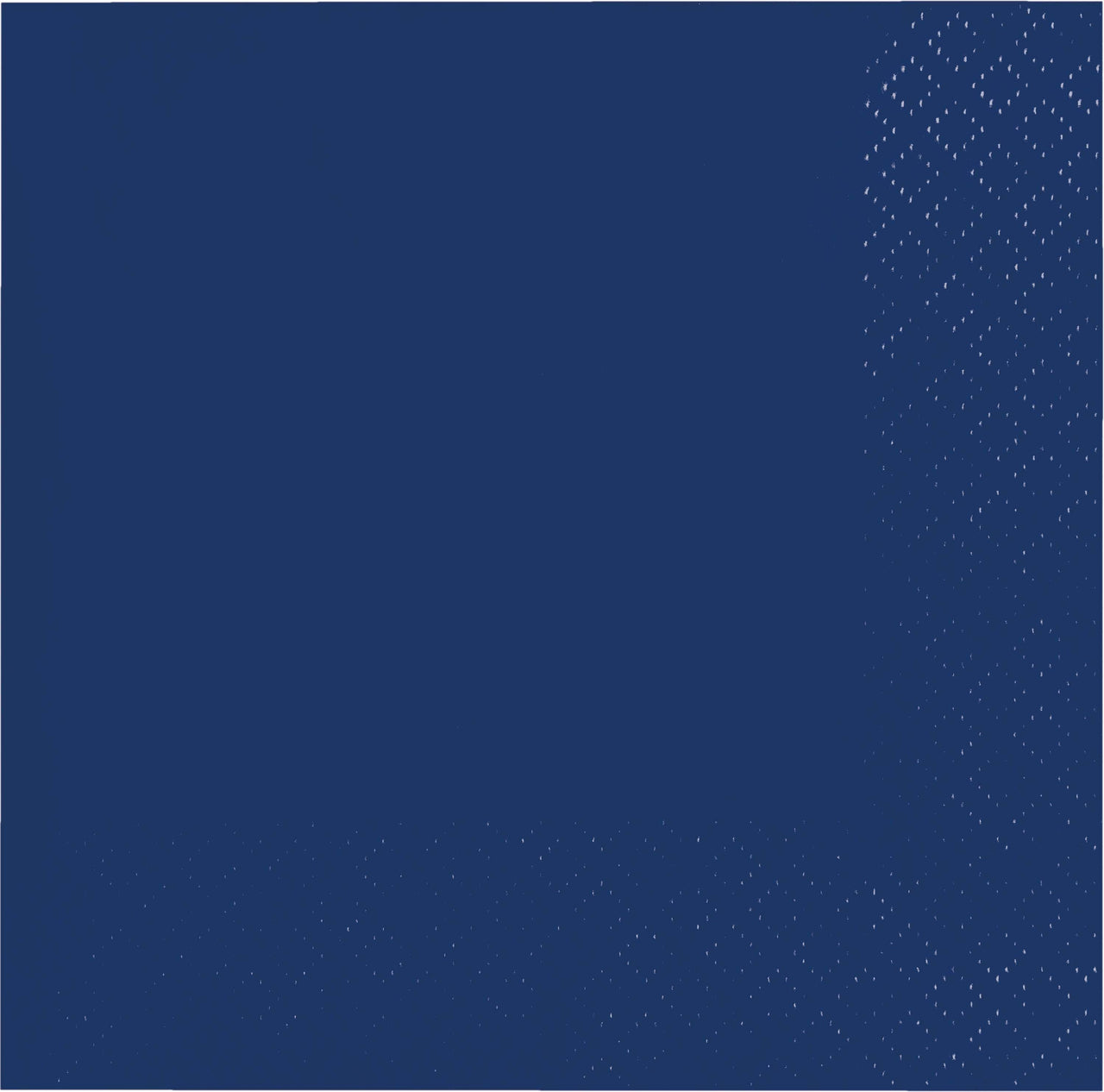 480ct Bulk Navy 2Ply Beverage Napkin