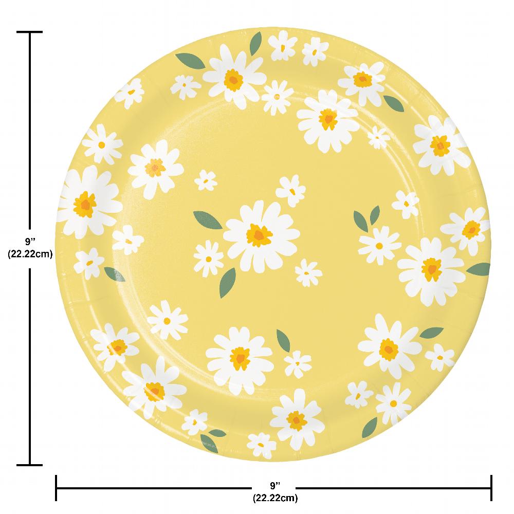 Sweet Daisy Paper Dinner Plate (Case of 96) by Creative Converting