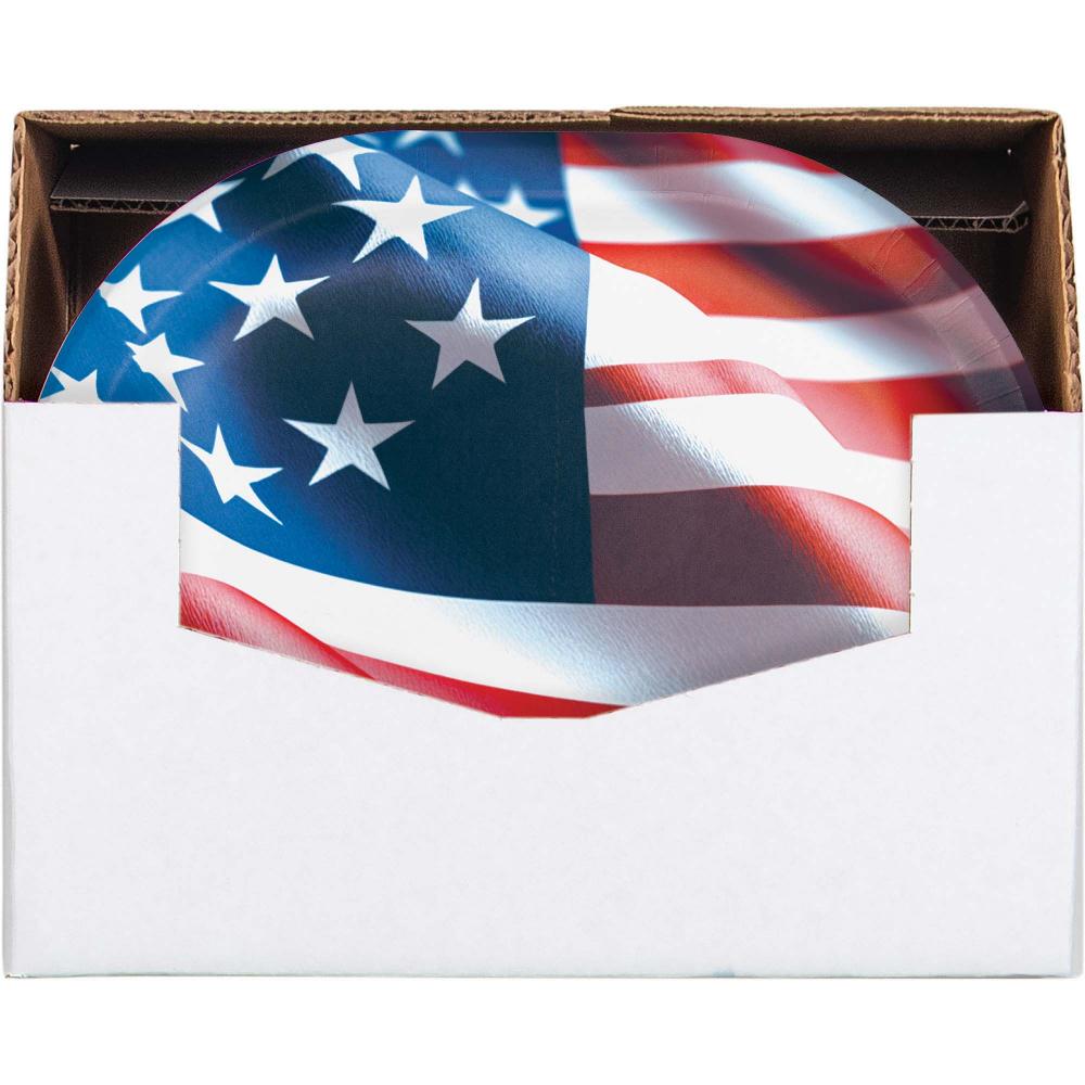 Oval Platter - Freedom Flag Party Decoration