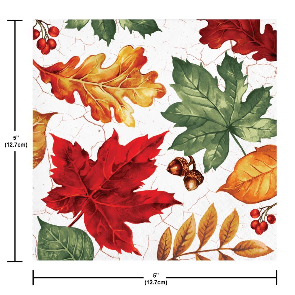 Pattern of autumn leaves with measurements on a white background