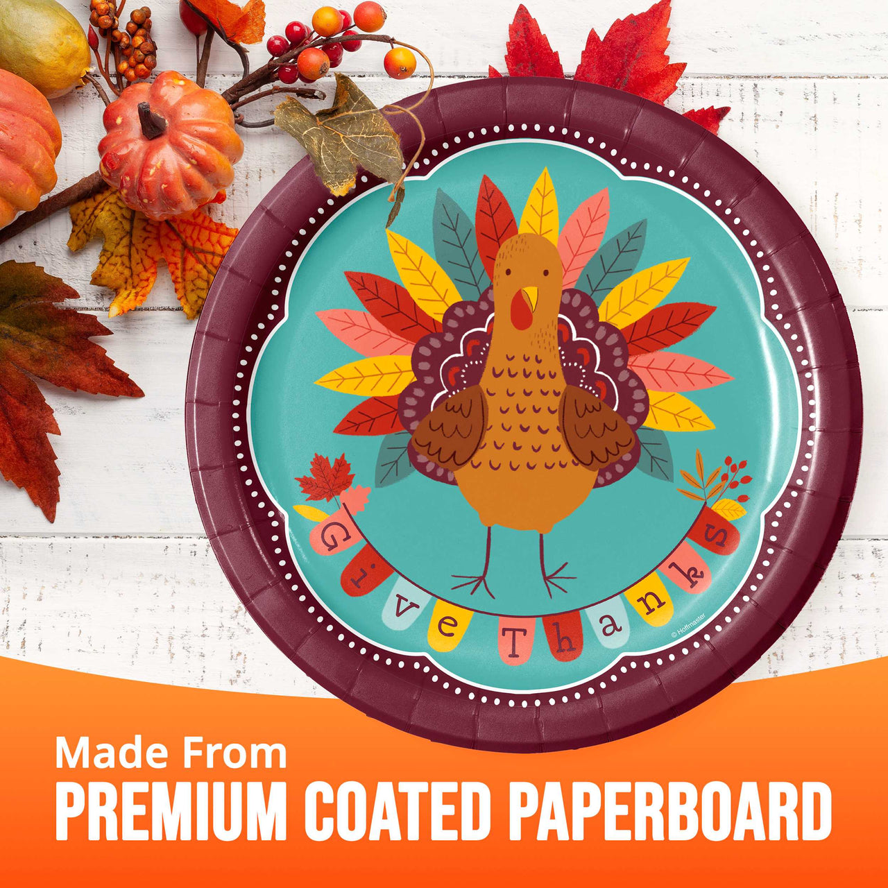 Turkey Treat Dinner Plates 9"