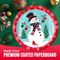 Frosted Fun Dinner Plates 9
