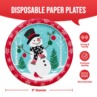 Frosted Fun Dinner Plates 9
