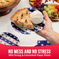 Patriotic Patterns Luncheon Plates 7