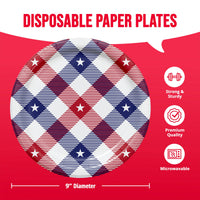 Patriotic Patterns Dinner Plates 9