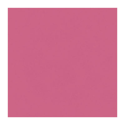 Hot Pink Tissue Paper Sheets, 20" x 20", Gift Related, General Occasion, Baby Shower, Pink Ribbon