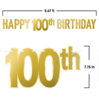 Happy 100th Birthday Streamer - Foil Banner Decoration