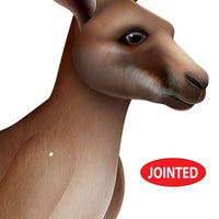 Jointed Kangaroo Wall Decoration