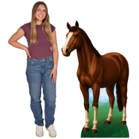 Lifesize Horse Stand-Up Prop - Western & Farm Decor