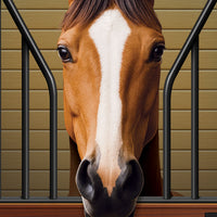 Horse Door Cover - All-Weather Western & Farm Decor