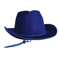 Blue Velour Cowboy Hat - One Size Fits Most