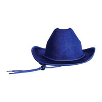 Blue Velour Cowboy Hat - One Size Fits Most