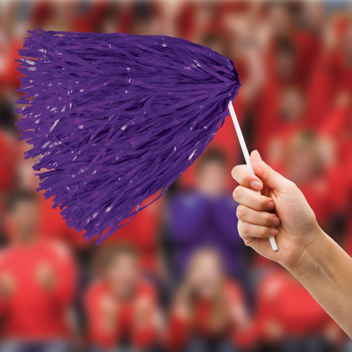 Purple Poly Pom Poms - 512 Strand (2/Pkg)