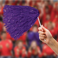 Purple Poly Pom Poms - 512 Strand (2/Pkg)