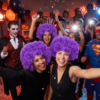 Purple Curly Wig - Fun Costume Accessory & Spirit Wear