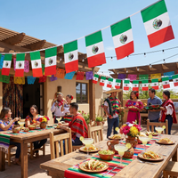 Fiesta Mexican Flag Pennant Banner