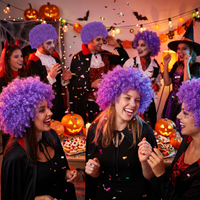 Purple Curly Wig - Fun Costume Accessory & Spirit Wear