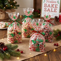 Christmas Candy Cane & Holly Cello Bags