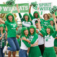 Green Long Bob Wig - Spirit & Halloween Costume Accessory