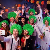 Green Curly Wig - Spirit, School & Halloween Fun