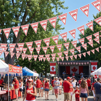 Canada Pennant Banner - All-Weather Sports Flag Garland
