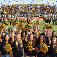 Football Black & Gold Tissue Pom Pom - 320 Strands