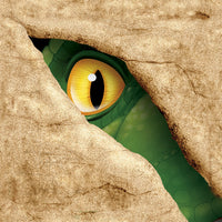 192 pc Bulk Dino Blast Beverage Napkins - Birthday Party Supplies by Creative Converting