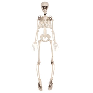Beistle Halloween Plastic Skeleton