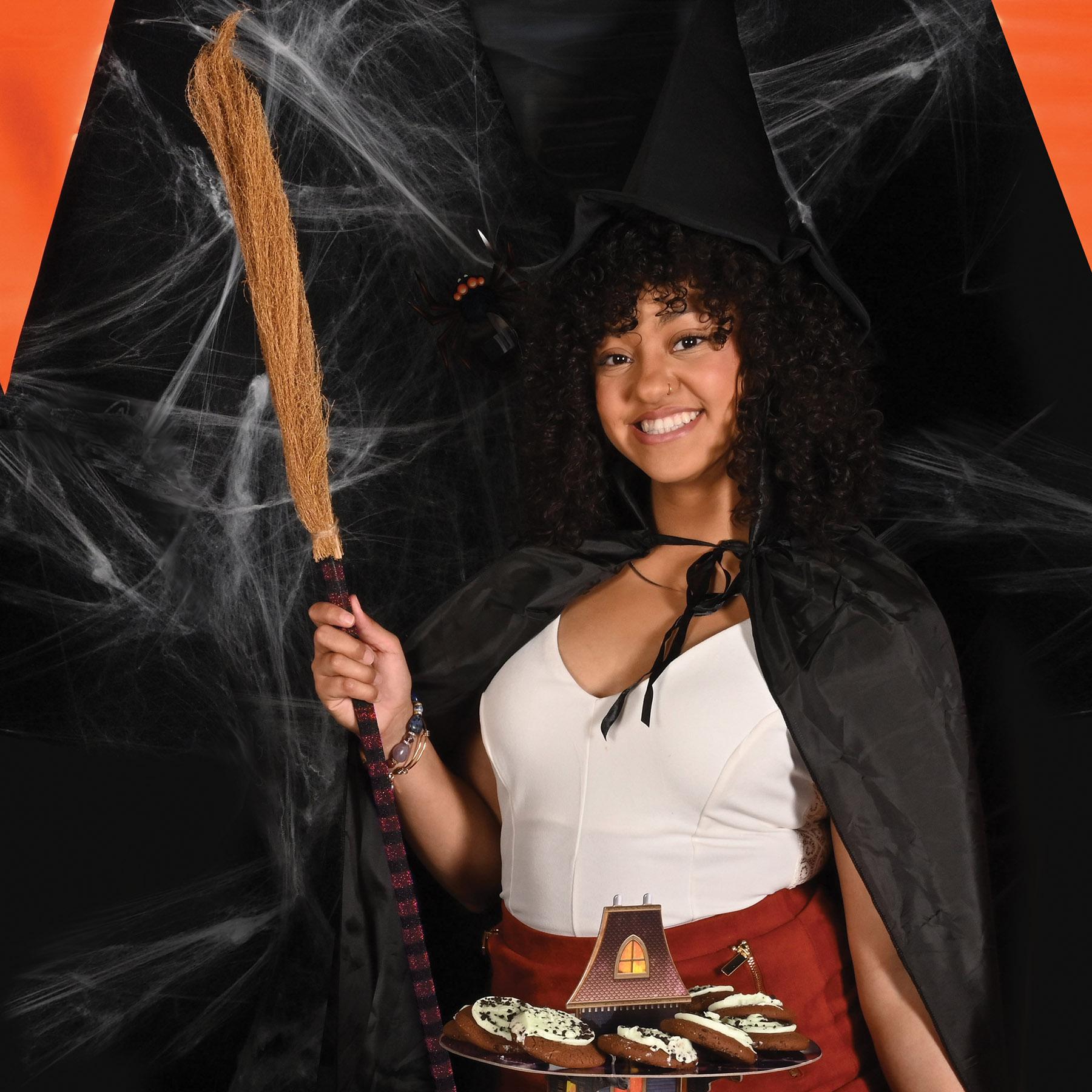 Beistle Halloween Witch's Broom