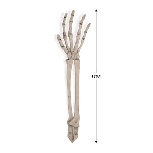 Beistle Plastic Skeleton Hand Yard Stakes