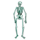 Beistle Halloween Jointed Skeleton- Blue and White