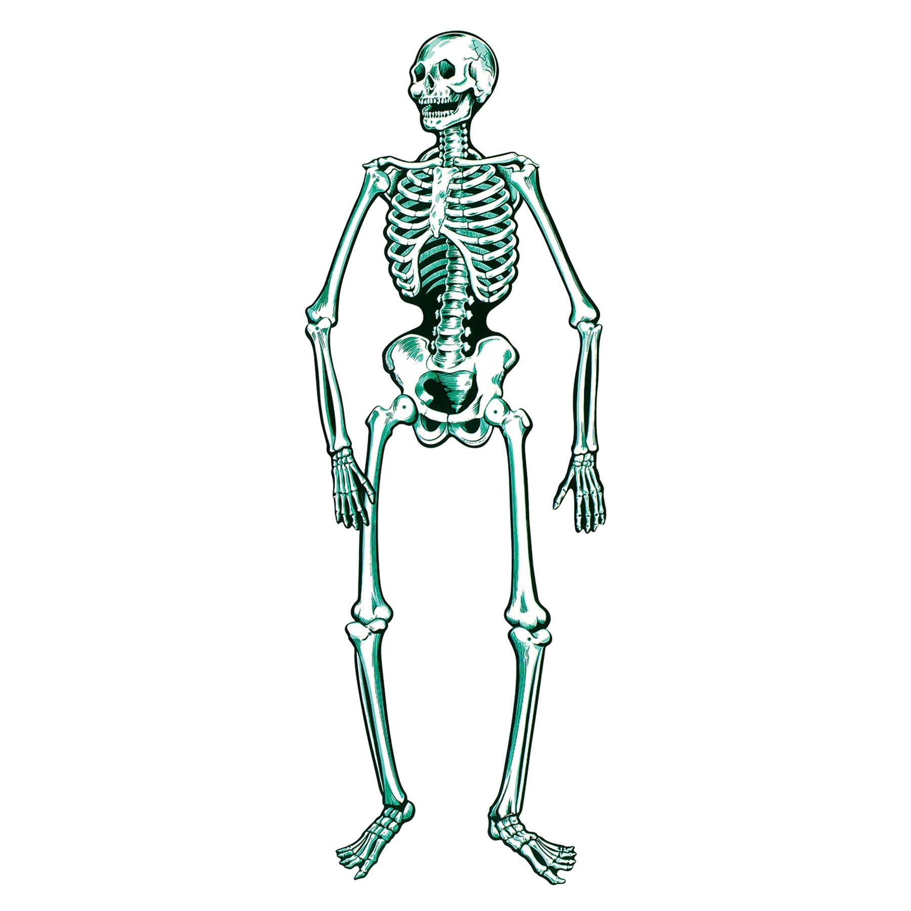 Beistle Halloween Jointed Skeleton- Blue and White