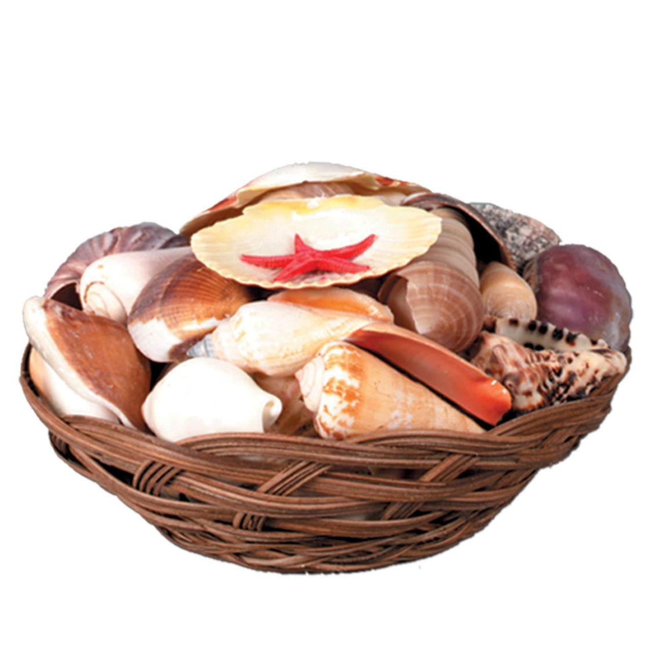 Beistle Luau Party Shell Basket