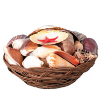 Beistle Luau Party Shell Basket