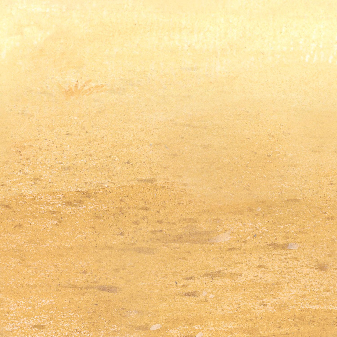 Desert Sand Party Backdrop