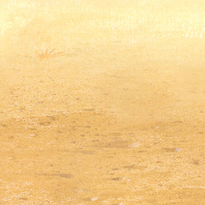 Bulk Western Party Desert Sand Backdrop (Case of 6) by Beistle