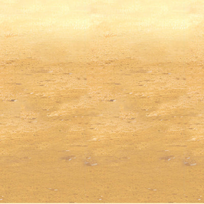 Beistle Desert Sand Party Backdrop