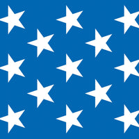Beistle Patriotic Stars Party Backdrop