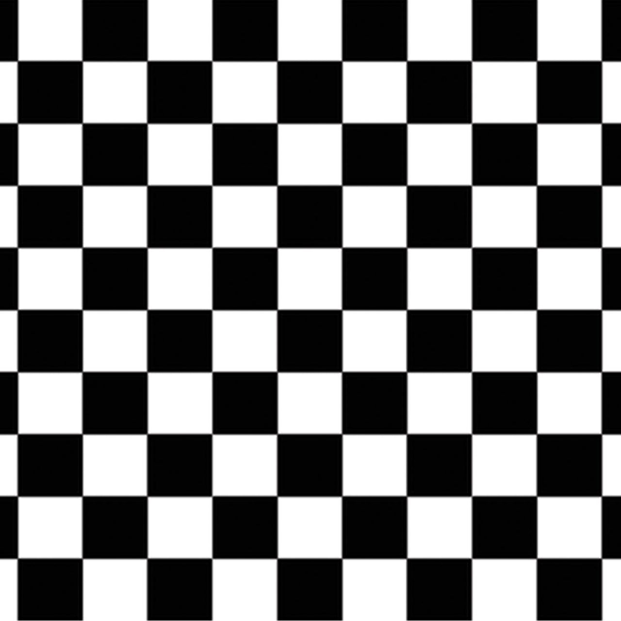 Beistle Checkered Party Backdrop