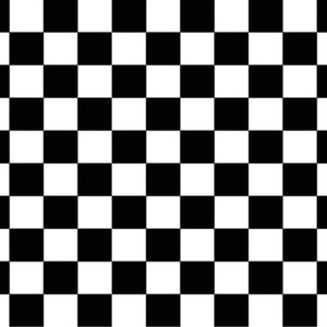 Beistle Checkered Party Backdrop
