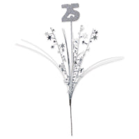 Beistle Glittered 25th Anniversary  Metallic Star Spray