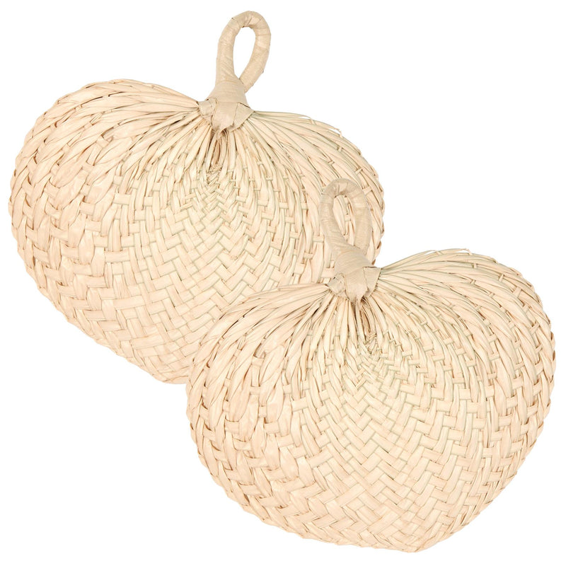 Beistle Luau Party Raffia Fans (2/Poly Bag)