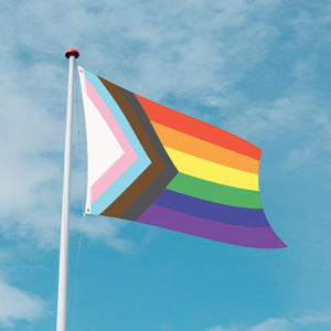 Bulk Pride Flag (Case of 12) by Beistle