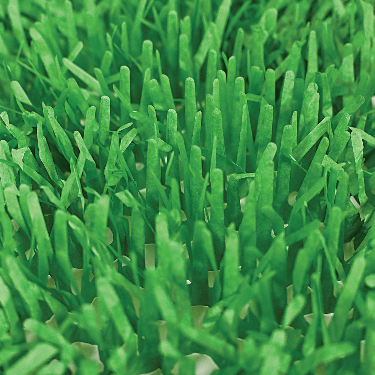 Bulk Easter Party Green Tissue Grass Mats (Case of 24) by Beistle