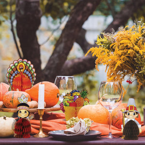 Thanksgiving Party Supplies - Thanksgiving Playmates